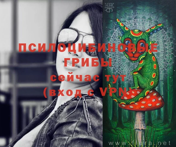 бутират Костерёво