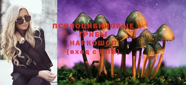 не бодяженный Новочеркасск