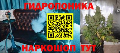 гидра Гусь-Хрустальный