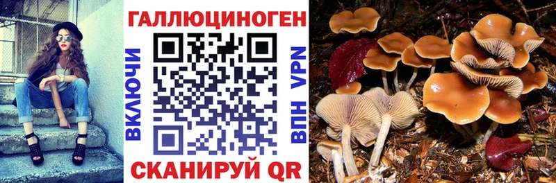 Галлюциногенные грибы мицелий  сколько стоит  Дедовск 