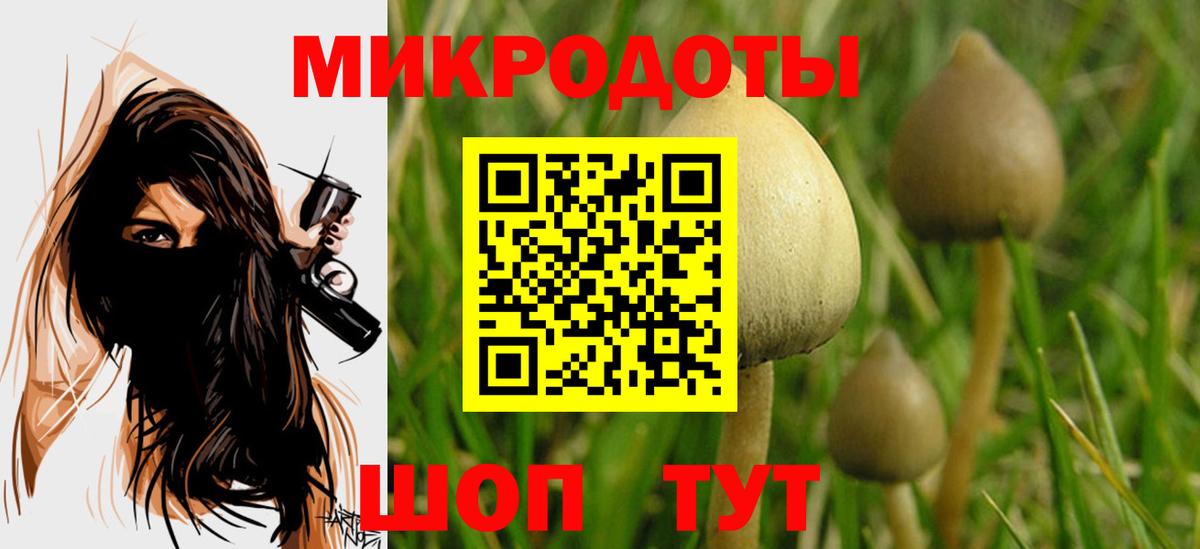 Галлюциногенные грибы MAGIC MUSHROOMS  Псилоцибиновые грибы GOLDEN TEACHER  Дедовск 